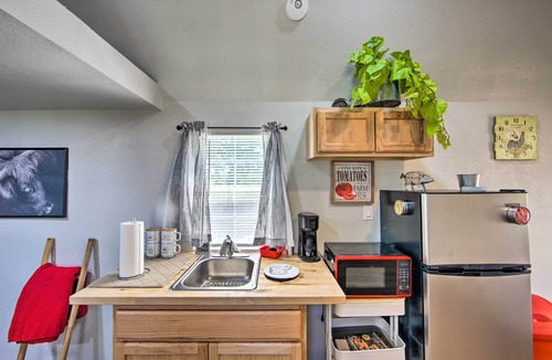 Alba Apartment | Lake Fork Tiny Home: Outdoor Dining & Grill!