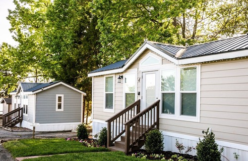 Steele Creek Cabin | Lakefront Property One Bedroom Cabin #3 at Long Cove Resort - Flexible Cancellation! by RedAwning