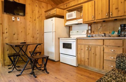 Cadiz Ski Chalet | Lakeview Cozy Chalet 1 - Bring the Dog