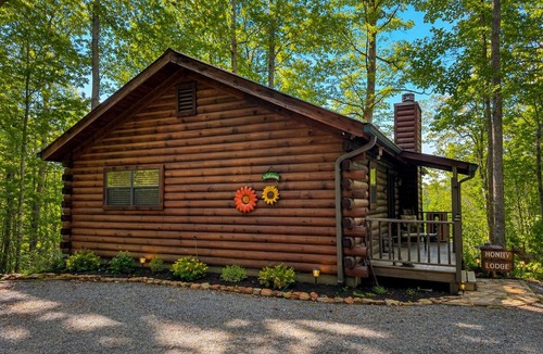 Hiawassee Cabin | Last-minute discounts! Honey Lodge, Beautiful Mtn View, Master Main Town 1 Mile