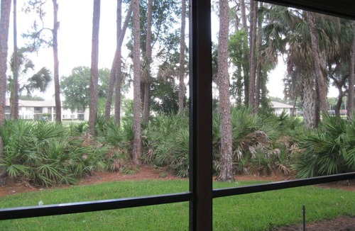The Meadows Condo | Lovely 2 Bed 2 Bathroom Condo in a quiet lush area near the golf course
