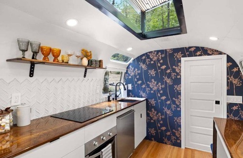 Pisgah Forest House | Luxury Airstream w/hot tub, king bed, & grill