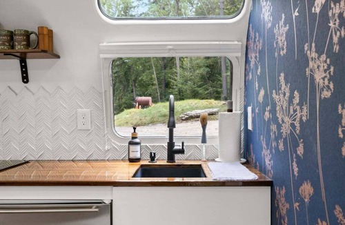 Pisgah Forest House | Luxury Airstream w/hot tub, king bed, & grill