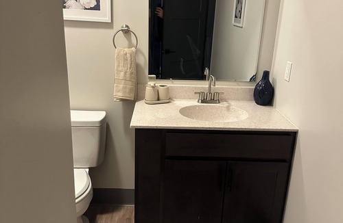 Central Business District Apartment | Luxury King Suite Downtown Kalamazoo