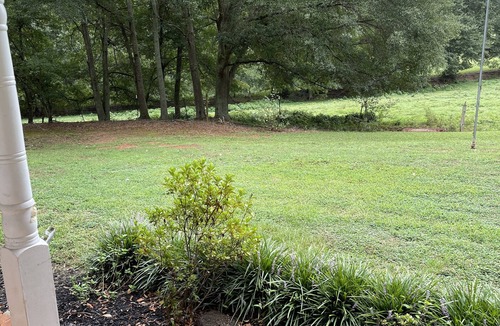 Dewy Rose House | Magnolia Hill Home on Sawtooth Oaks Farm
