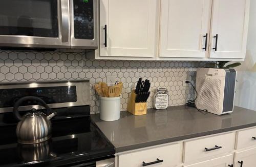 Dunean Apartment | Modern Near Downtown Hospitals Greenville Stay