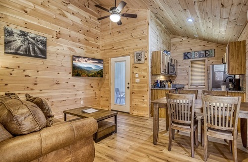 Cosby Cottage | Mountain Majesty- Pickleball Court, Creek, WIFI, Mountain Views, Starting at $69