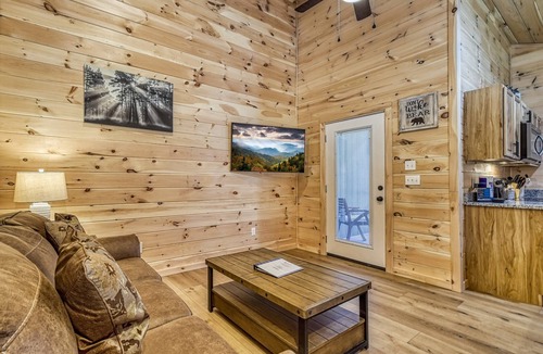 Cosby Cottage | Mountain Majesty- Pickleball Court, Creek, WIFI, Mountain Views, Starting at $69