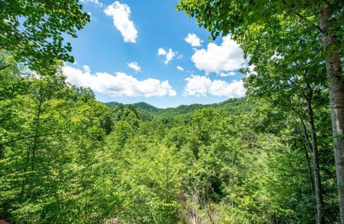 Almond House | Mountain Views | Hot Tub | Near Bryson City