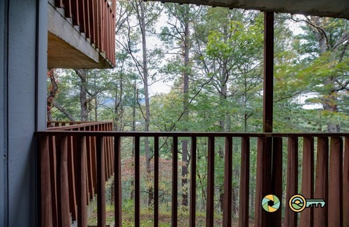 Basye Condo | Mountainside Retreat Condo (#2-202) | Ground-level | Quiet & secluded