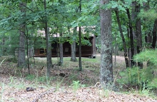 Upper Tract Cabin | Nature's Paradise in Upper Tract near Smoke Hole