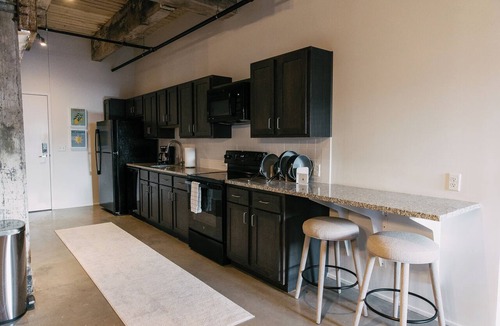 Downtown Memphis Apartment | NEW Downtown Apartment - Parking Included, Walk to Orpheum, Forum, and Beale!