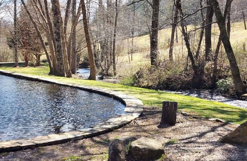 Hiawassee Cabin | North GA Mountain Paradise Natural Swimming Pool and Stream