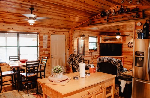 Cosby Cabin | "Our Life" Creekside, Trout Fishing, Fire Pit, Hot Tub, WiFi and more.