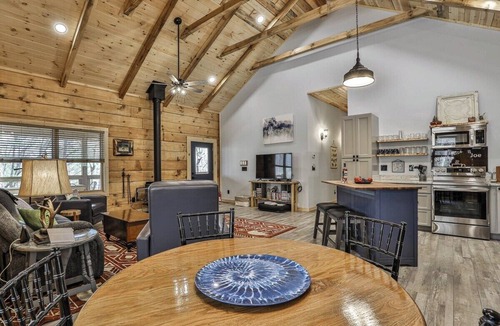 Ellijay Cabin | Owl's Roost by Mountain Oasis | Dog-Friendly Cabin in Coosawattee River Resort