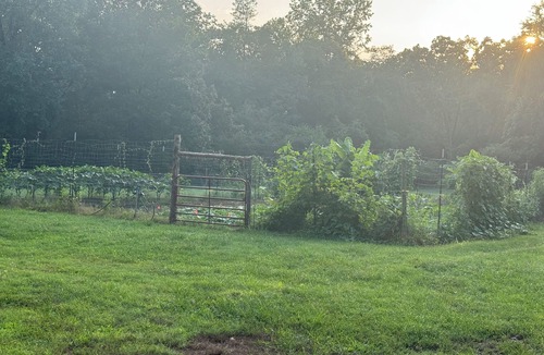 Pelsor House | Ozark Foothills Country Home Newly Remodeled