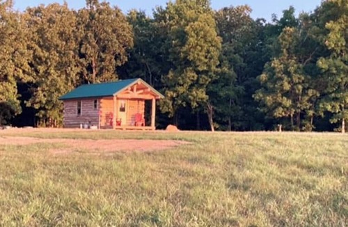 Roach Cabin | Ozark Oasis Luxury Cabin: Cozy one-bedroom with AC
