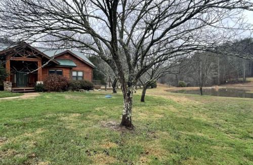 Tellico Plains House | Parkland, Deluxe Log Cabin, a Hot Tub and a Lake!