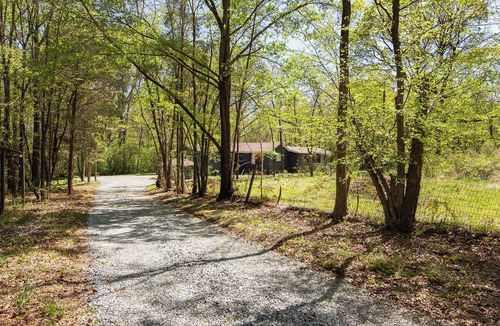 Huntersville Apartment | Peaceful 1BR Apartment for Extended Stays in Huntersville