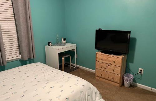 Charlotte House | Prickle Your Fancy Private Room in University