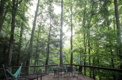 Skyland House | Private, Wooded Paradise - Year-round hot tub, Summer pool