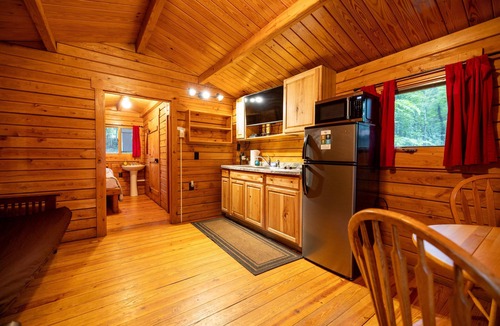 Rileyville Cabin | Quiet retreat on the Shenandoah river near Luray