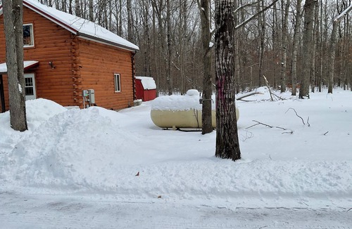 Sears Cabin | Quiet Woodland Escape Secluded 3BR Cabin on 30 Acres