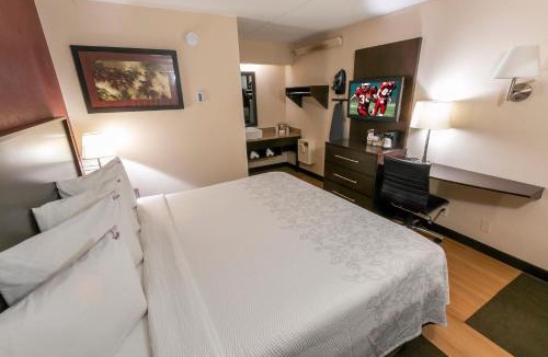 The Hill Hotel | Red Roof Inn PLUS+ St. Louis - Forest Park/Hampton Ave.