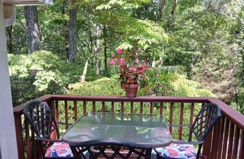 Gerton Cottage | Redbird Cottage -Hiking & Pure Nature in Gerton