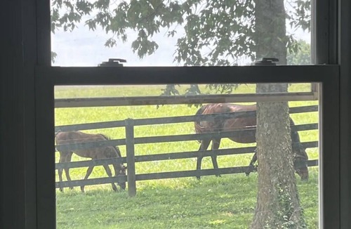 Georgetown House | Remodeled gorgeous cottage overlooking horse farm. Family and work friendly.
