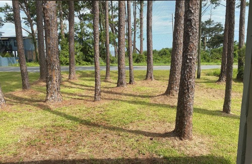 Carrabelle Cottage | Remodeled historic cottage with a peek of the Gulf of Mexico.