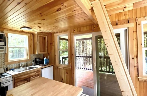 Dailey Cabin | Remote Tiny Cabin & Hiking!