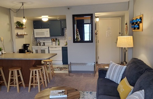 Edray Condo | Ride and Relax Snowshoe Vacation Rental