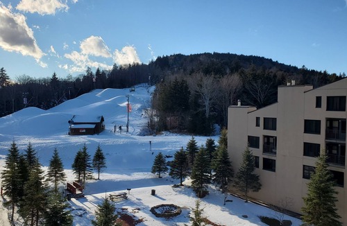 Edray Condo | Ride and Relax Snowshoe Vacation Rental