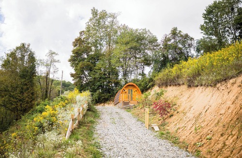 Mouth of Wilson Cabin | Ridgetop Retreat Cabin at Highland Hideaways - Arcade & Drive-in Theater