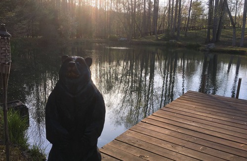 Dahlonega Cabin | Romantic cabin on horse farm just 6 miles away from historic downtown Dahlonega,