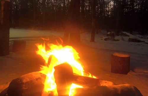 Baldwin Cottage | Romantic woodland cottage vacation rental in Baldwin. Pet friendly!