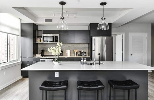 Crystal City Apartment | Scenic Rooftop 2BR Retreat with Gym & Parking