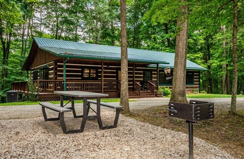 Helmsburg Cabin | Secluded Log Cabin on 5 Acres | Wildlife & Forest Views 3BR, 2BA
