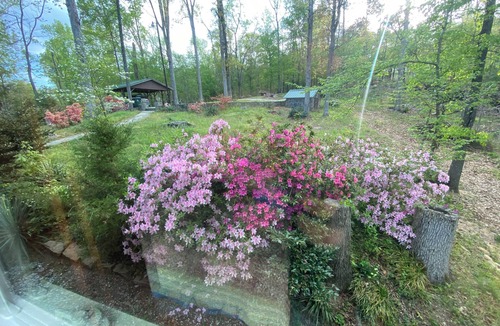Waterloo Cabin | Serene 4-BR lakefront cabin, central Lake Greenwood, 2-14ppl, dock slip, pets