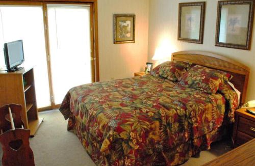 McHenry House | Ski Harbor #15