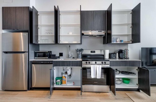 The Loop Apartment | South Loop Rooftop With In and Out Parking 3