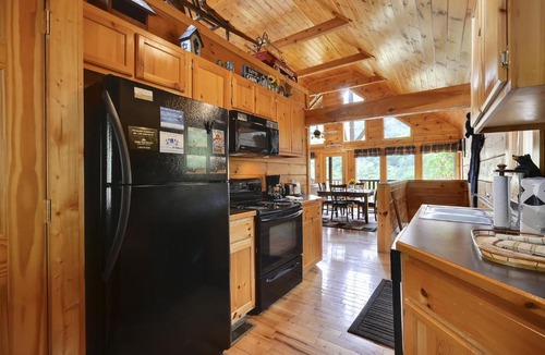 Pigeon Forge House | Spacious Cubby Bear Cabin