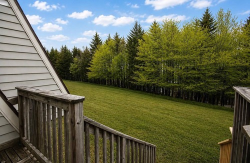 Snowshoe House | SR 27A: Mountain Bike Weekends & Pet-Friendly Summer Nights
