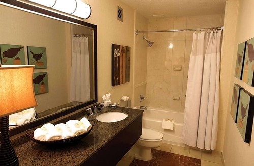 Eagan Park Hotel | Stay in a Contemporary Pet Friendly Hotel Near Delta Flight Museum! Outdoor Pool