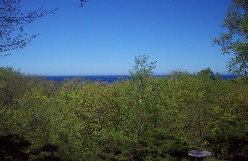 Forest Beach Cottage | Stay On The Tunnel Of Trees Scenic Highway
