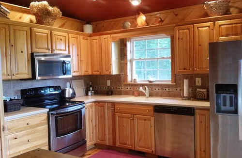 Robbinsville Cottage | SUNDANCE COTTAGE: Accessible Comfort Above Lake Santeetlah