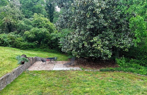 Sunshine House | Surrounded by Magnolias in Charming Old Chattanooga Neighborhood