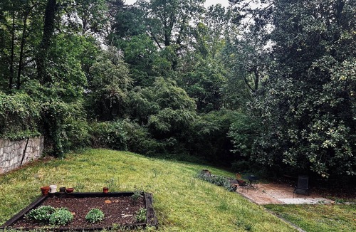 Sunshine House | Surrounded by Magnolias in Charming Old Chattanooga Neighborhood