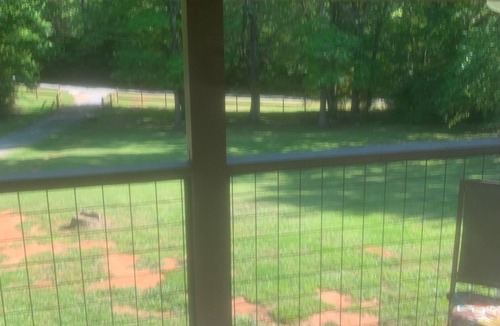Landrum House | Surrounded by sweetgum and maple trees, this house is perfect for some R & R.